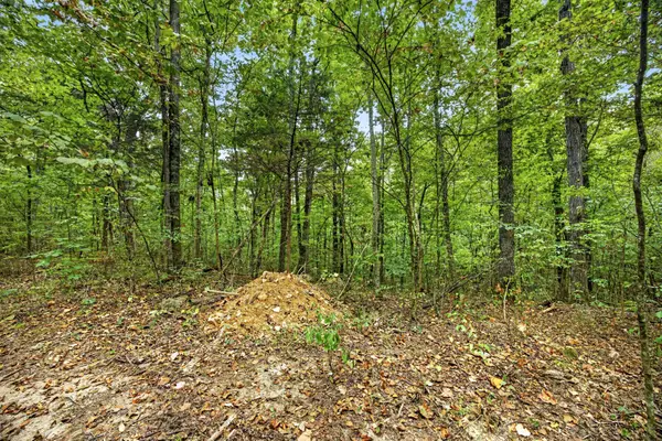 0 Timber Ridge Lane, Celina, TN 38551