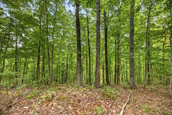 0 Timber Ridge Lane, Celina, TN 38551