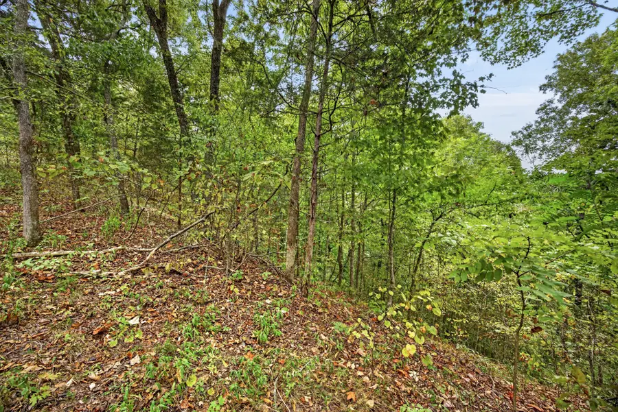 0 Timber Ridge Lane, Celina, TN 38551 - #2