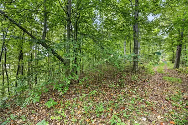 0 Timber Ridge Lane, Celina, TN 38551