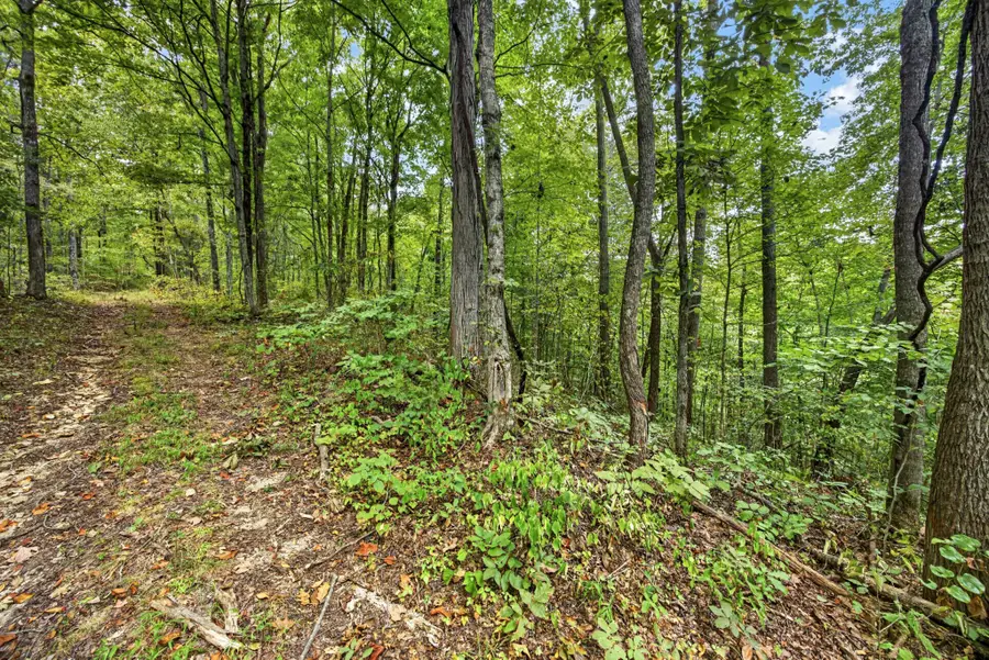 0 Timber Ridge Lane, Celina, TN 38551 - #2