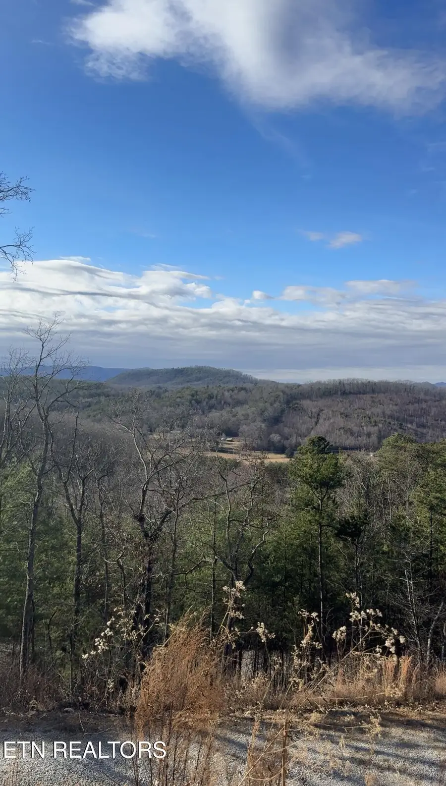 117 Indian Ridge Drive, Tellico Plains, TN 37385 - #2