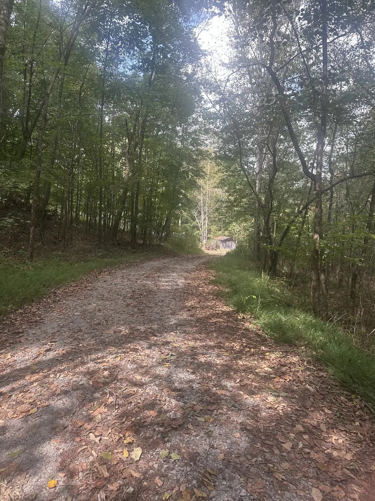 2550 Hurricane Creek Rd, Lawrenceburg, TN 38464 - #1