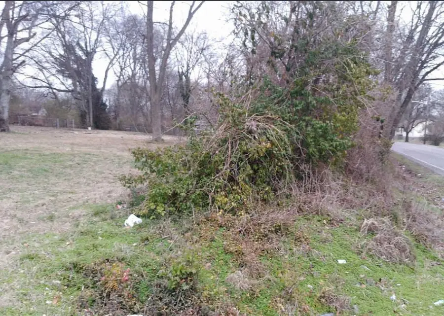 863 Argle Ave, Madison, TN 37115 - #3