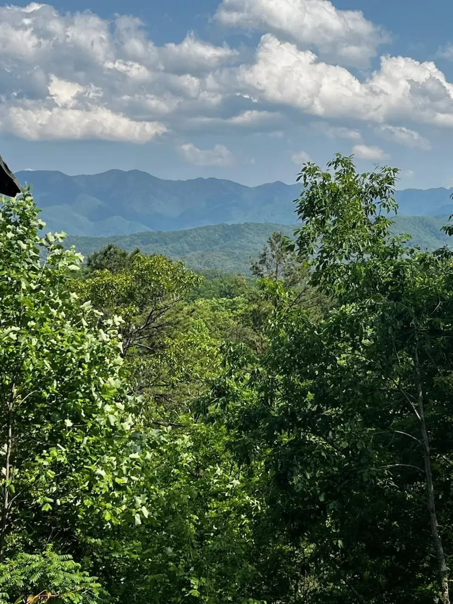 0 Powdermill Rd, Gatlinburg, TN 37738 - #3