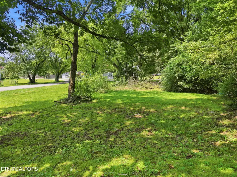 2400 Rim St, Knoxville, TN 37917 - #2