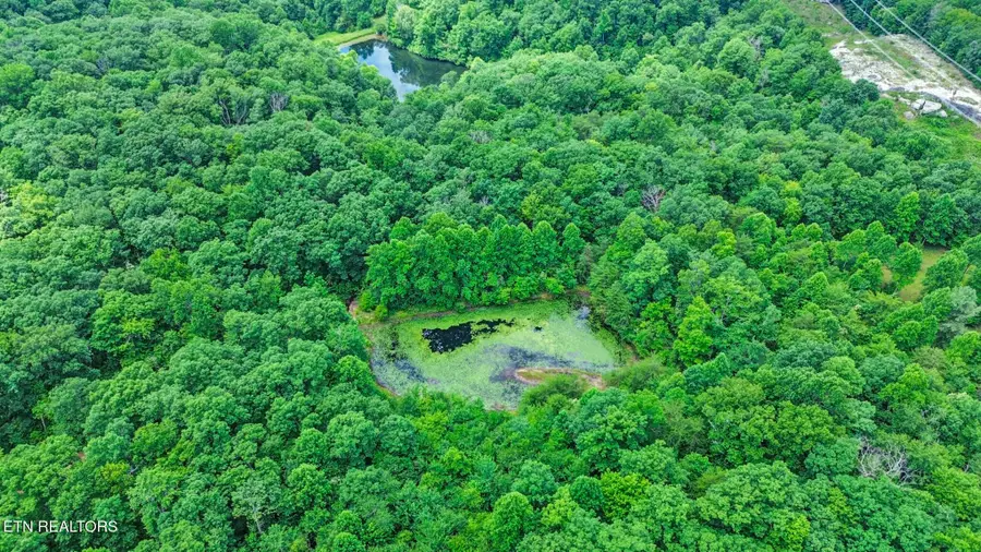 16147 Highway 70n, Monterey, TN 38574 - #3