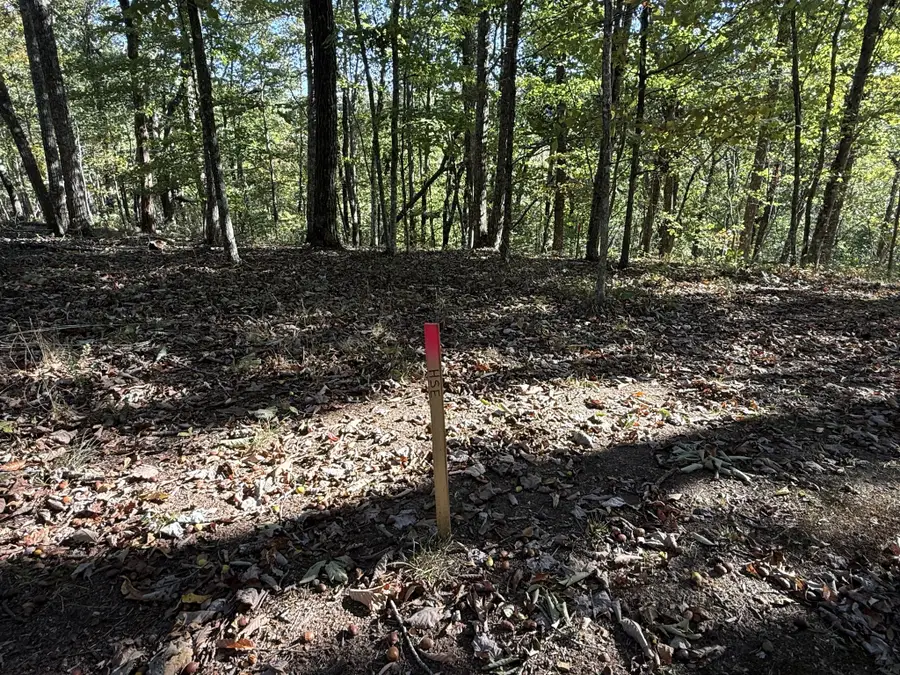 1708 Ridge Cliff Dr, Monteagle, TN 37356 - #2