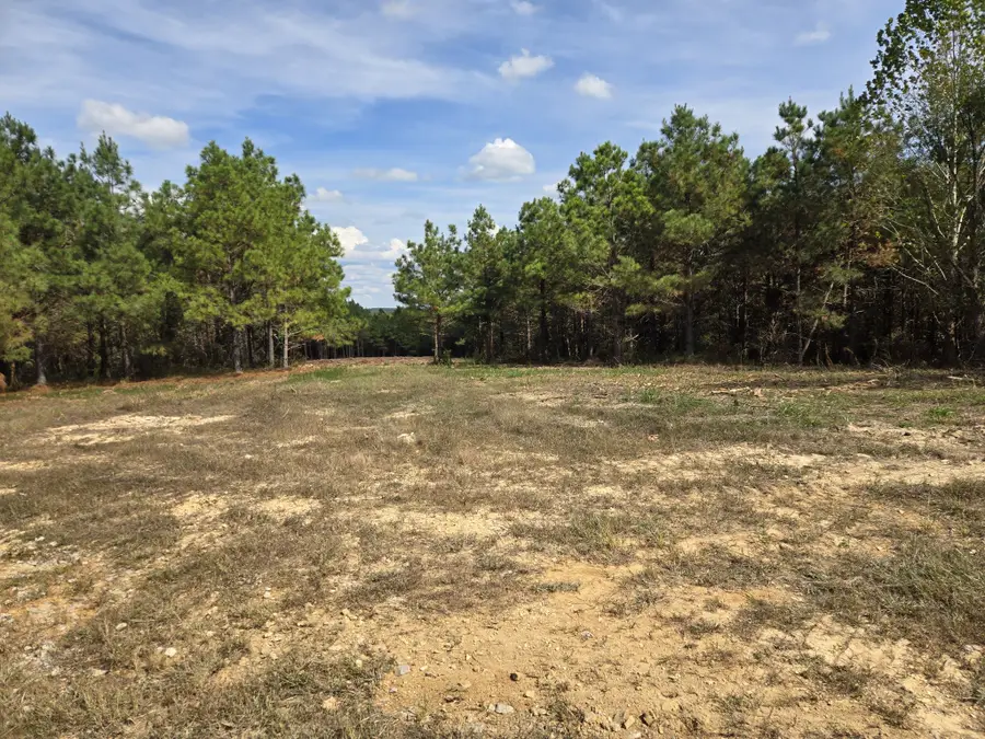 189 Evergreen Drive, Dover, TN 37058 - #3