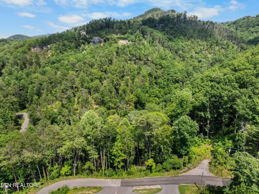 3278 Emerald Springs Loop, Sevierville, TN 37862 - #2