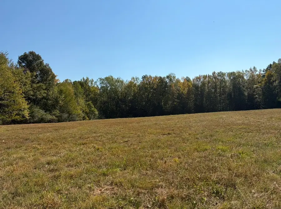 0 Davis Hollow Rd, Minor Hill, TN 38473 - #3