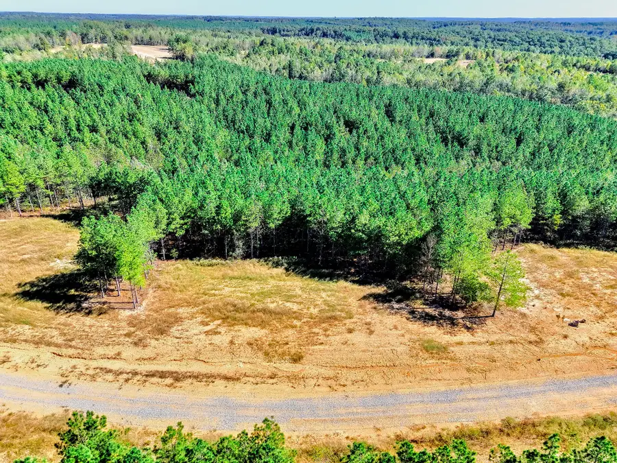 0 Warren Proctor Ln, Erin, TN 37061 - #2