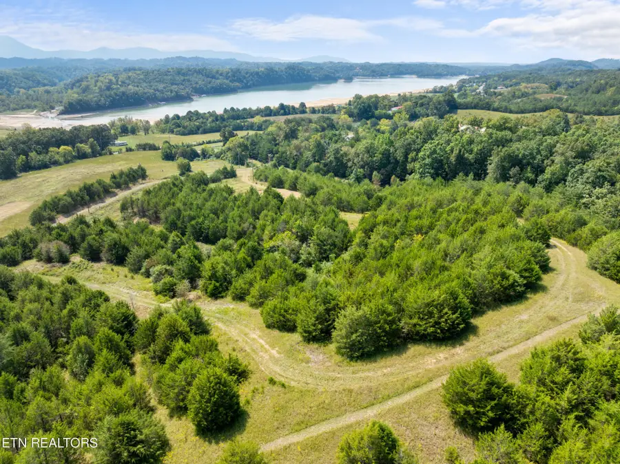 0 Swannsylvania Rd, Dandridge, TN 37725 - #3