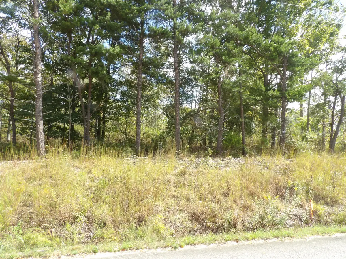 0 Williams Hollow Road, Waverly, TN 37185 - #1