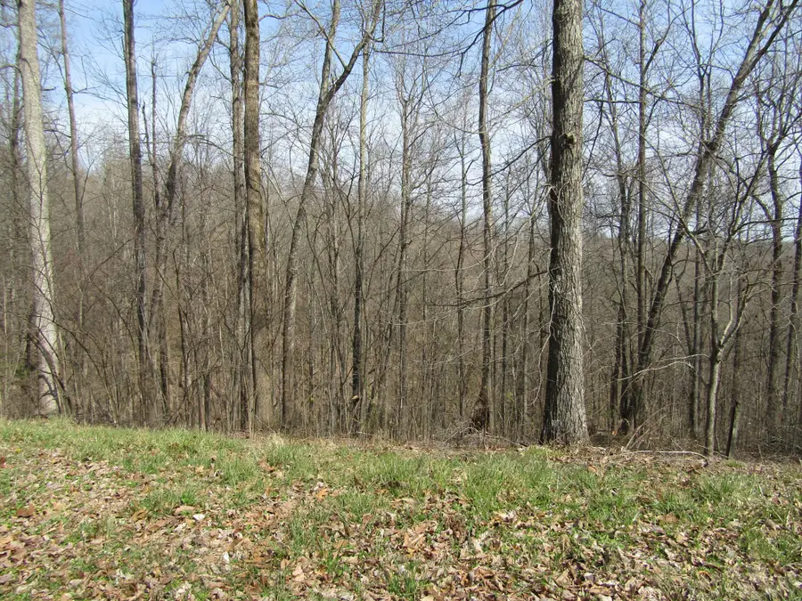 0 Hunters Landing Ln, Smithville, TN 37166 - #2