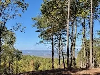 0 Top Shelf Street, Guild, TN 37340