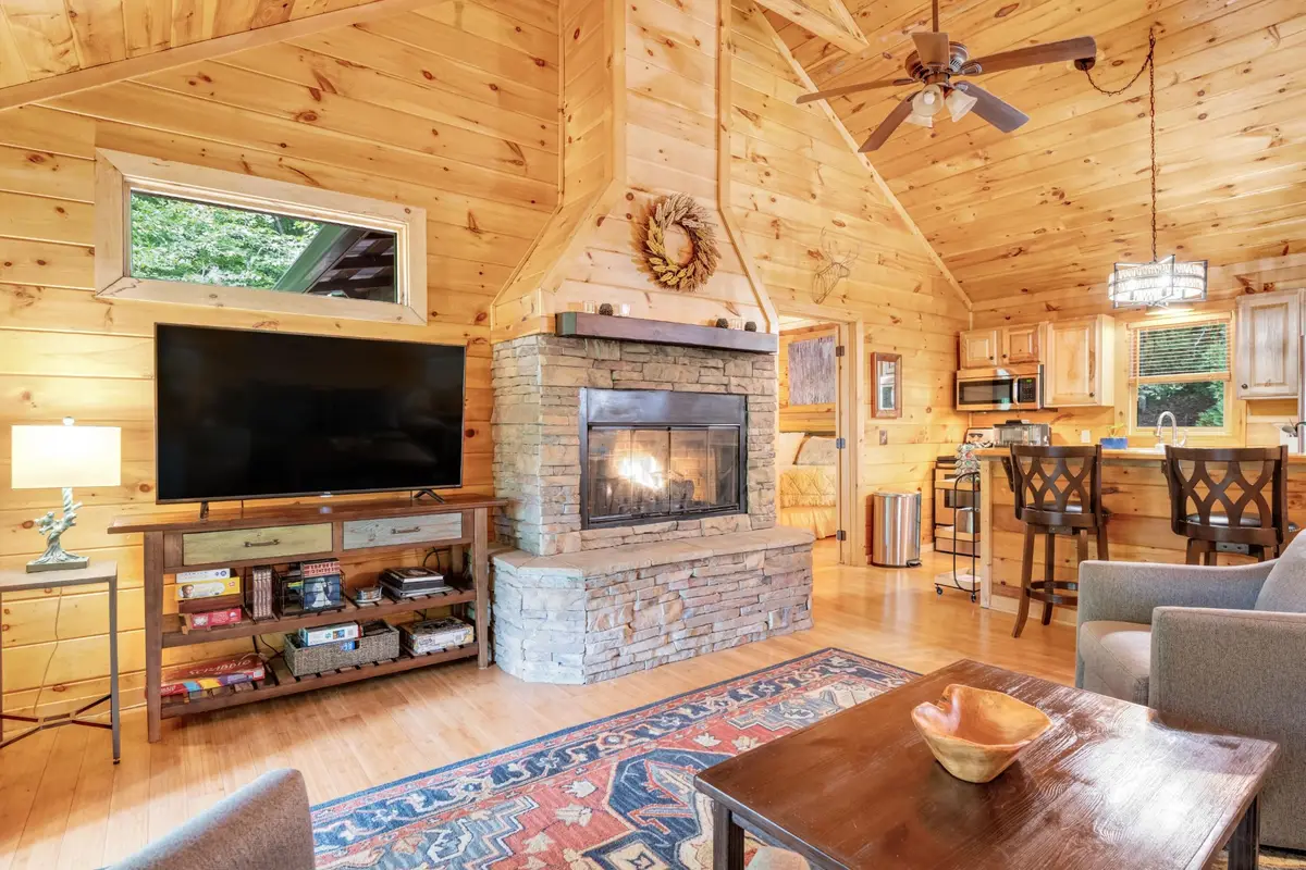 67 All Good Road, Cherry Log, GA 30522 - #1