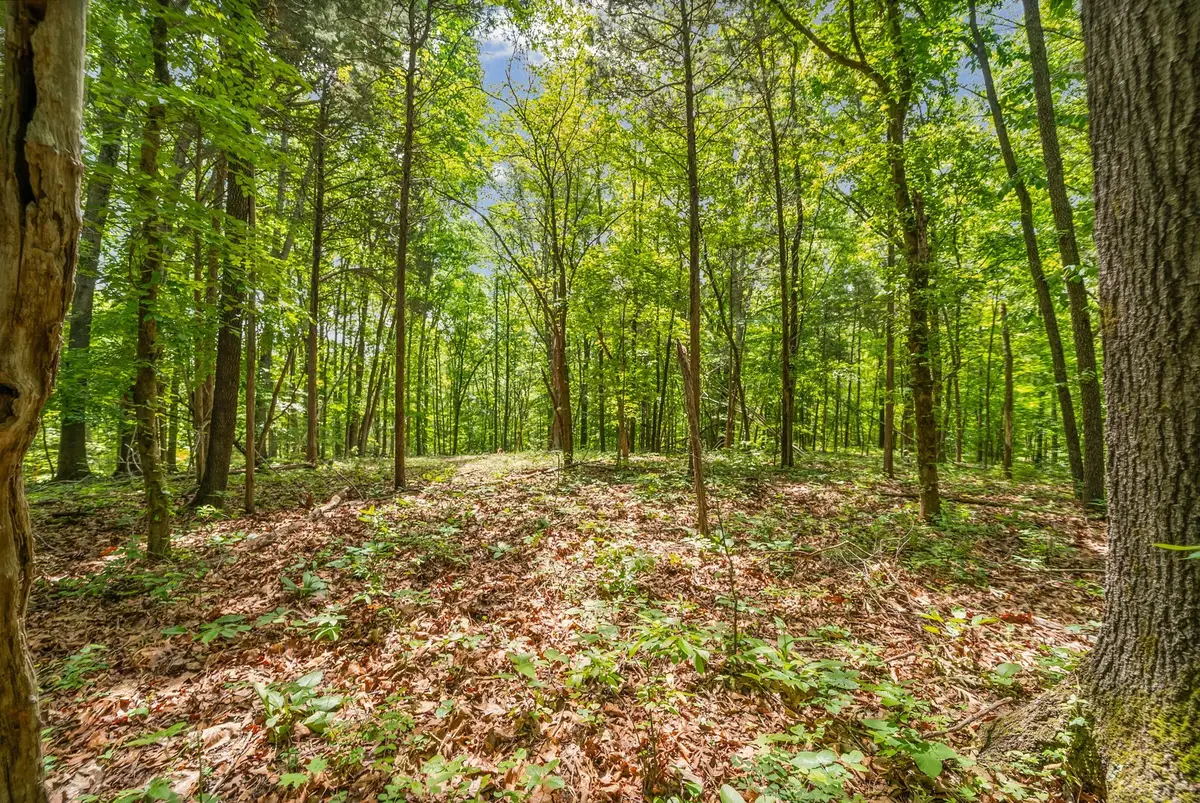 2 Budds Creek Road, Palmyra, TN 37142 - #1
