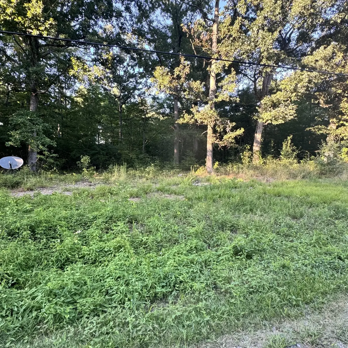 0 Glade Trl, Beechgrove, TN 37018 - #1