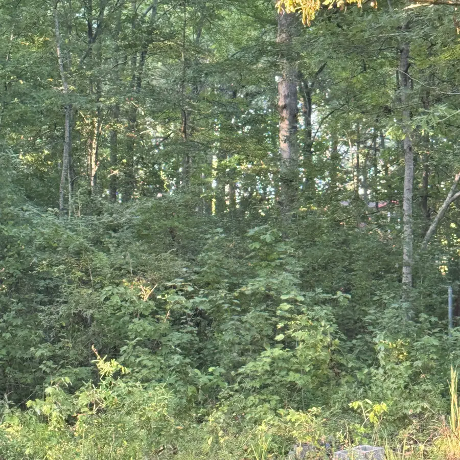 0 Glade Trl, Beechgrove, TN 37018 - #3