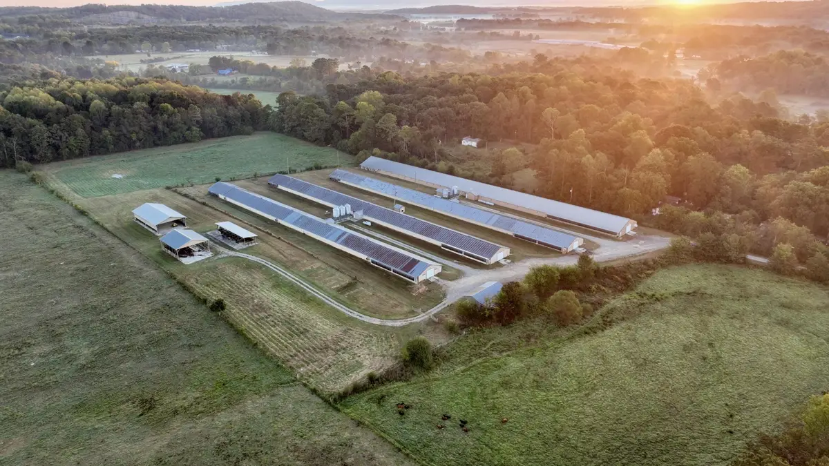 426 Ball Road Se, Cleveland, TN 37323 - #1