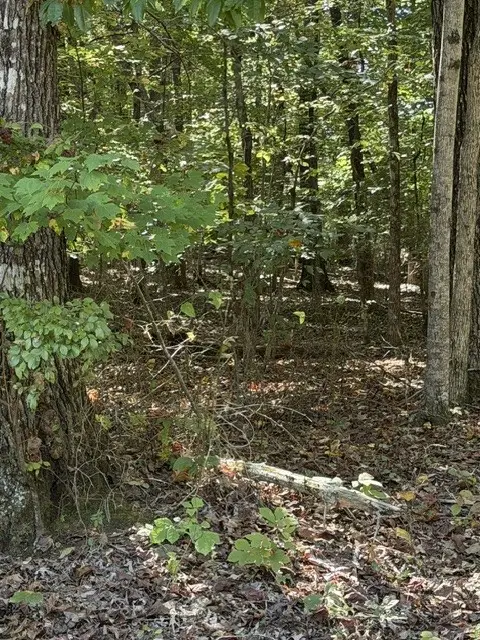0 Hopkins Lane, Winchester, TN 37398 - #2