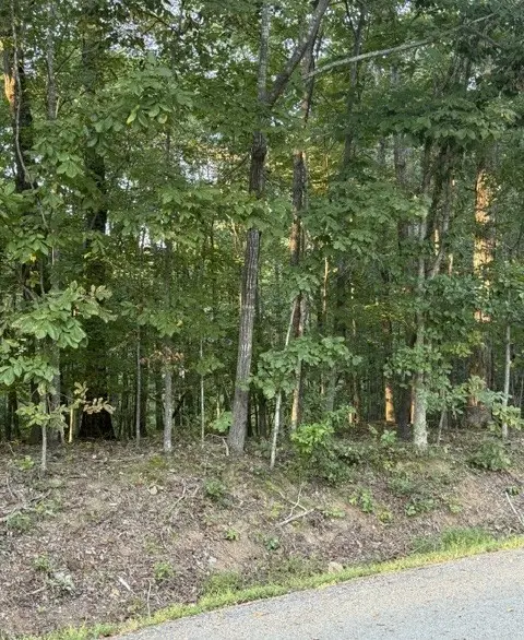 0 Woodland Way, Estill Springs, TN 37330 - #2