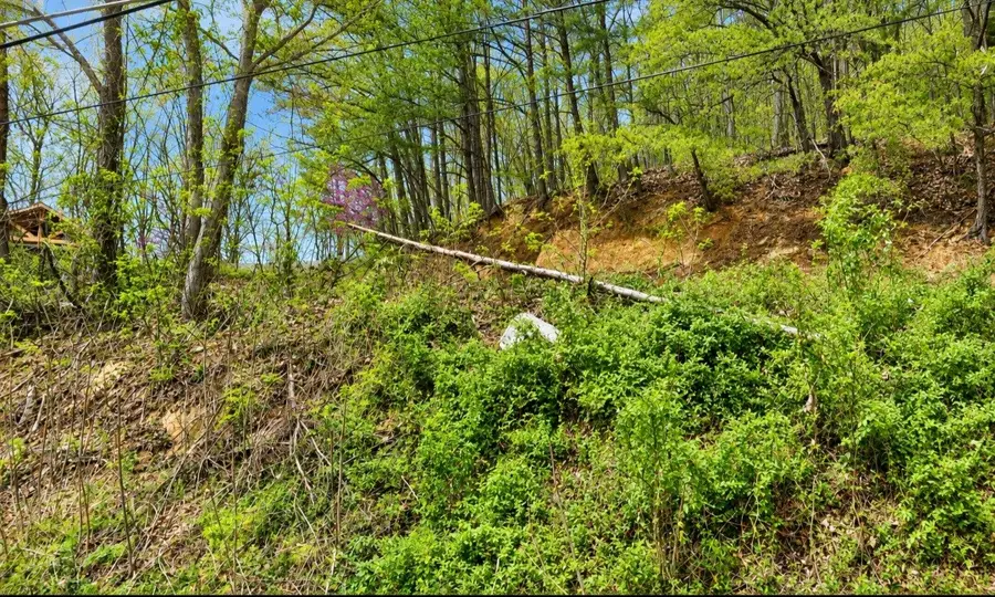 0 Mccarter Dr, Sevierville, TN 37862 - #2