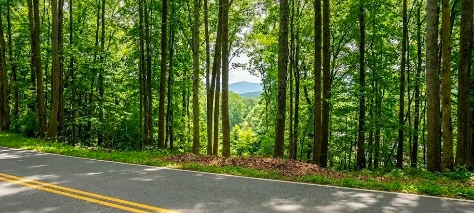0 Carlton Rd, Bristol, TN 37620 - #1