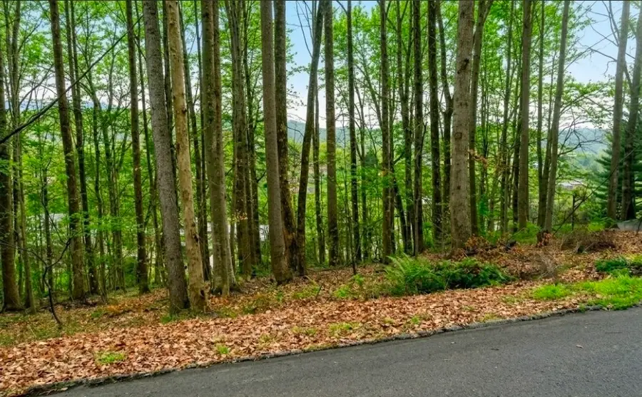 0 Carlton Rd, Bristol, TN 37620 - #2