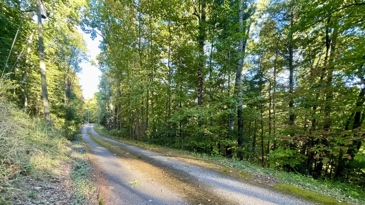 8 Berry Clark Drive, Gatlinburg, TN 37738 - #1