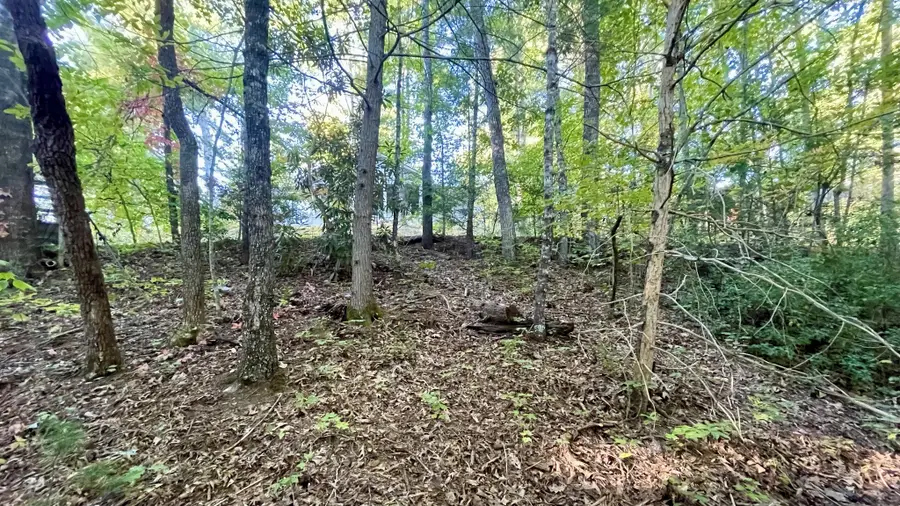 8 Berry Clark Drive, Gatlinburg, TN 37738 - #2