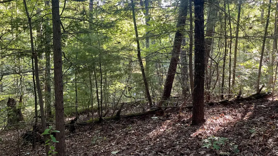 8 Berry Clark Drive, Gatlinburg, TN 37738 - #3