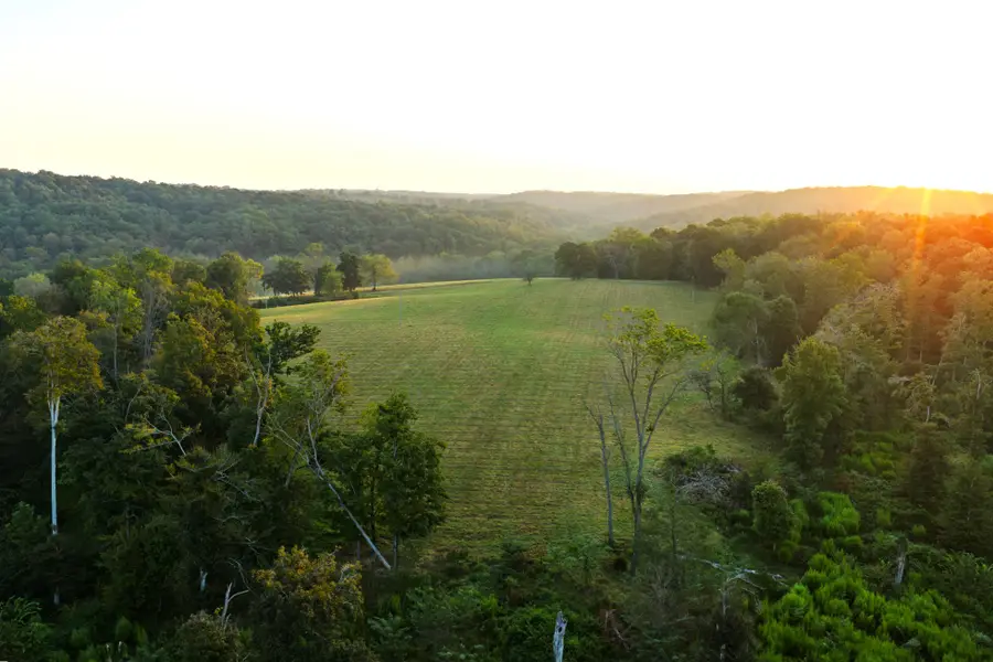 110 Wade Reed Rd, White Bluff, TN 37187 - #2
