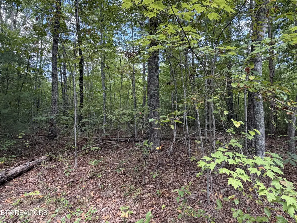 634 Horse Creek Rd, Jamestown, TN 38556 - #1