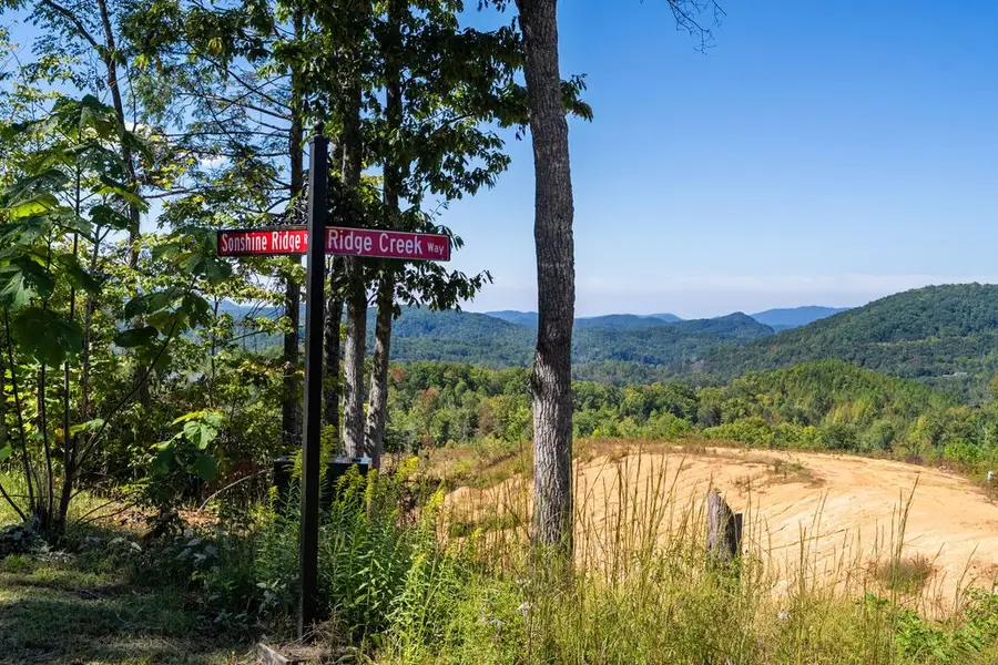 433 Ridge Creek Way, Cosby, TN 37722 - #3