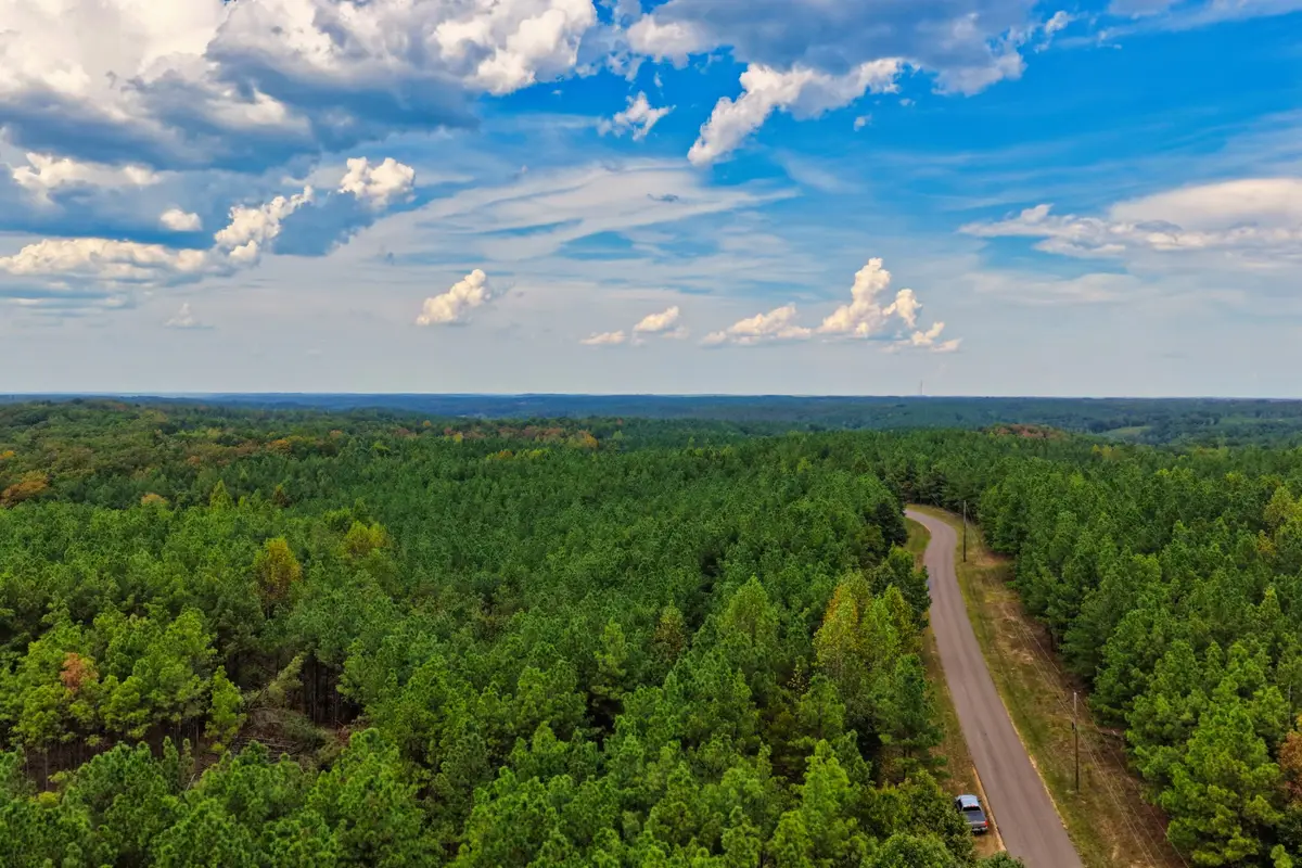 0 Lonesome Pine Road, Savannah, TN 38372 - #1