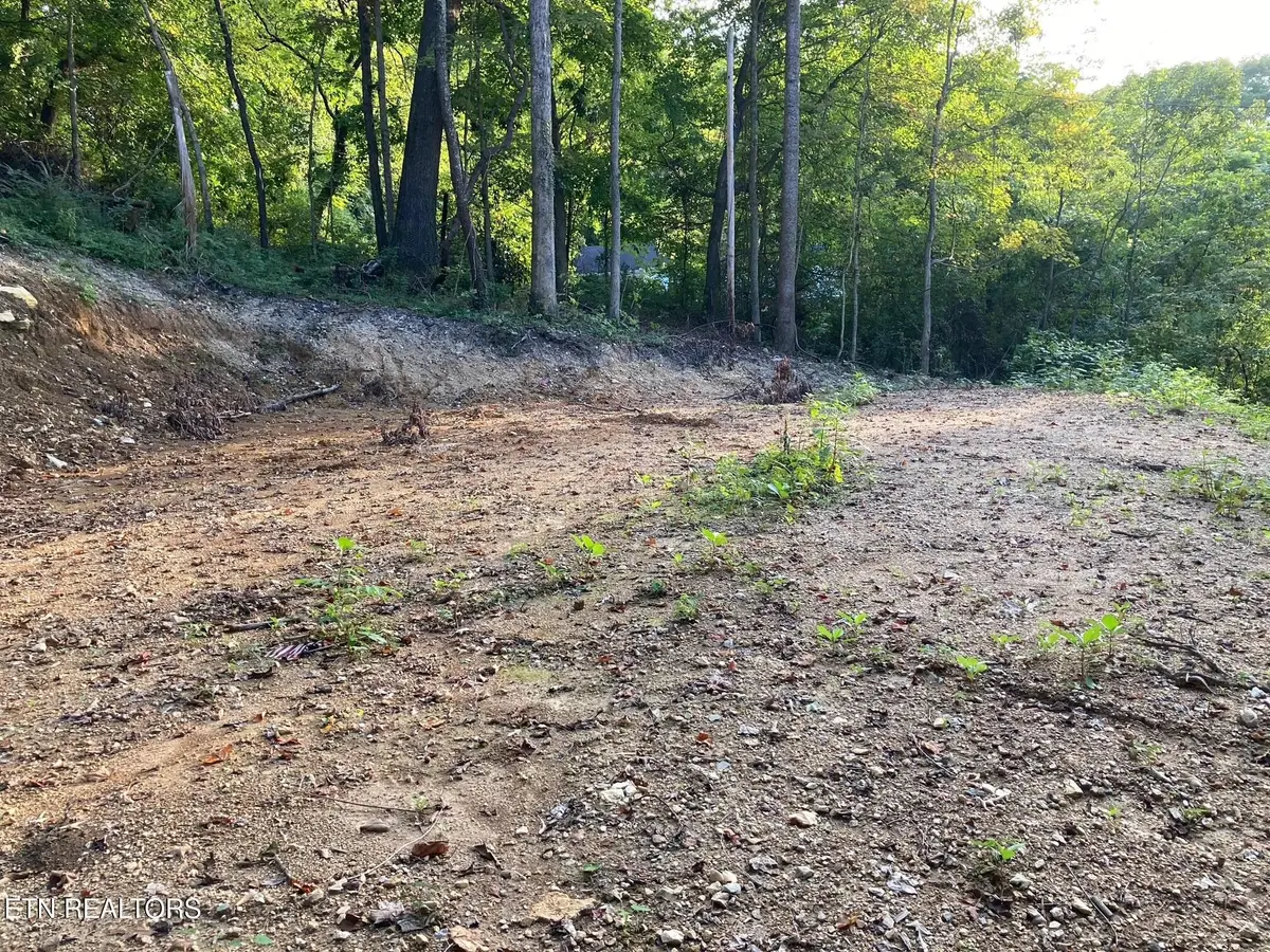 311 W Chestnut St, La Follette, TN 37766 - #1