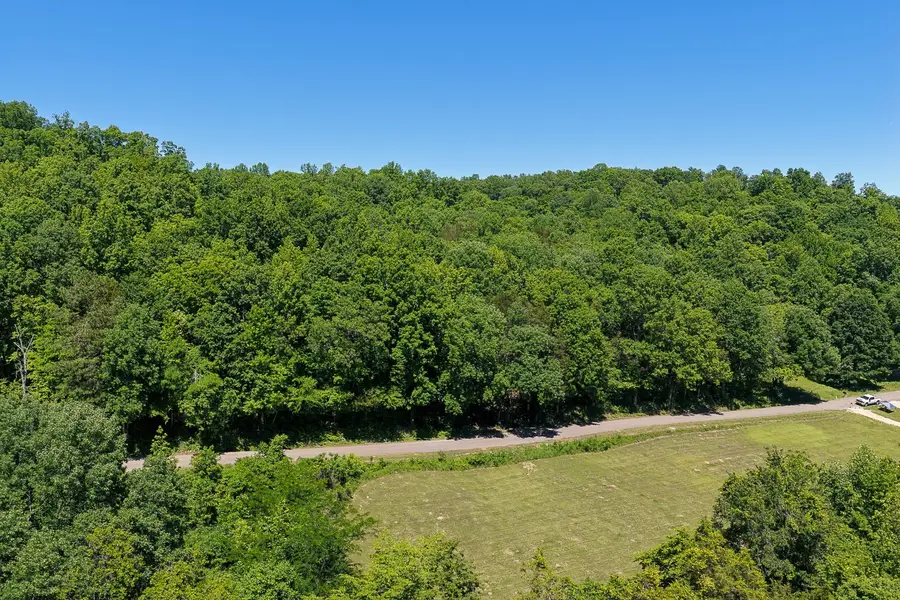 0 Mayberry Prong Road, Linden, TN 37096 - #3