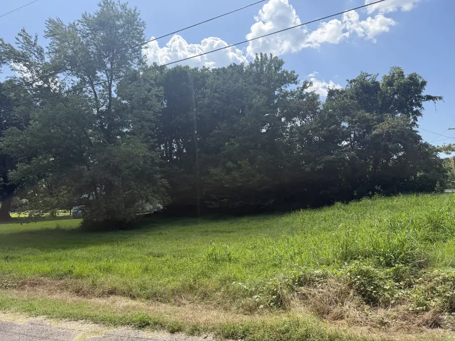 1007 State Line Rd, South Fulton, TN 38257 - #3