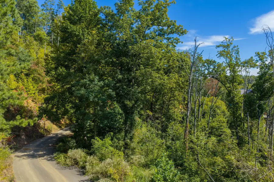 0 Spurling Road, Sevierville, TN 37862 - #3