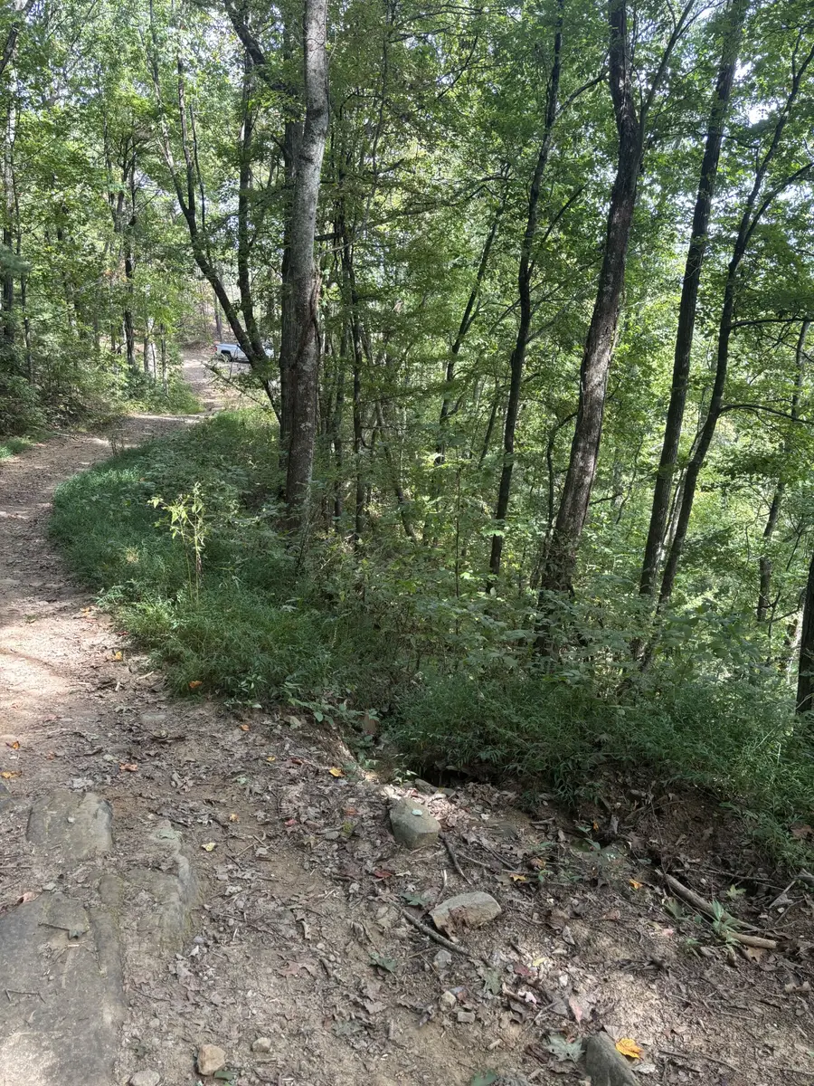 0 Blalock Dr W, Turtletown, TN 37391 - #2