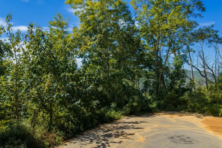 0 Spurling Road, Sevierville, TN 37862 - #3