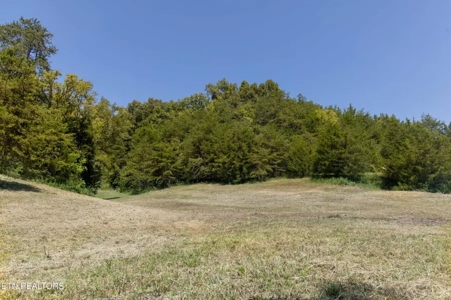 4 N Knob Creek Rd, Seymour, TN 37865 - #3