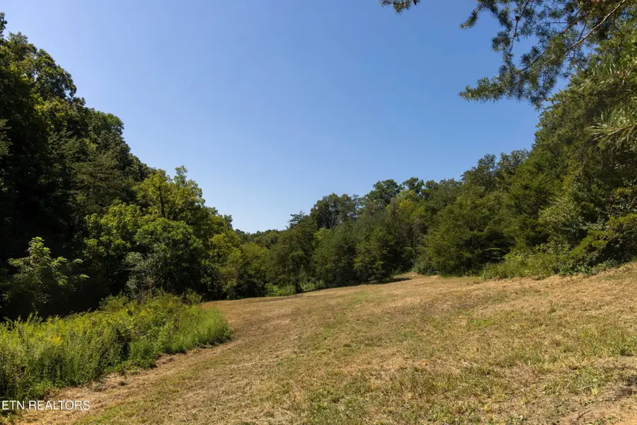 3 N Knob Creek Rd, Seymour, TN 37865 - #3