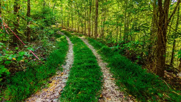 429 King Branch Rd, Sevierville, TN 37876
