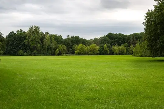 0 Sturgeon Creek Rd, Cedar Hill, TN 37032 - #1