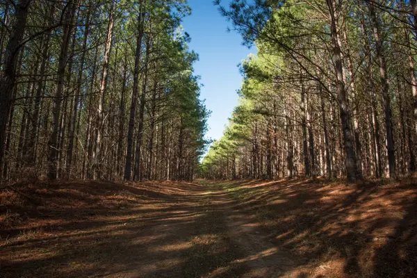 0 Mayfield Divide Rd, Centerville, TN 37033