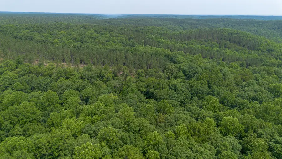 0 Mayfield Divide Rd, Centerville, TN 37033 - #3