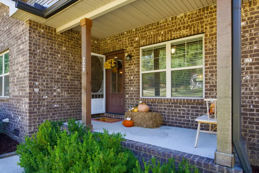 229 Staggs Dr, Portland, TN 37148 - #2